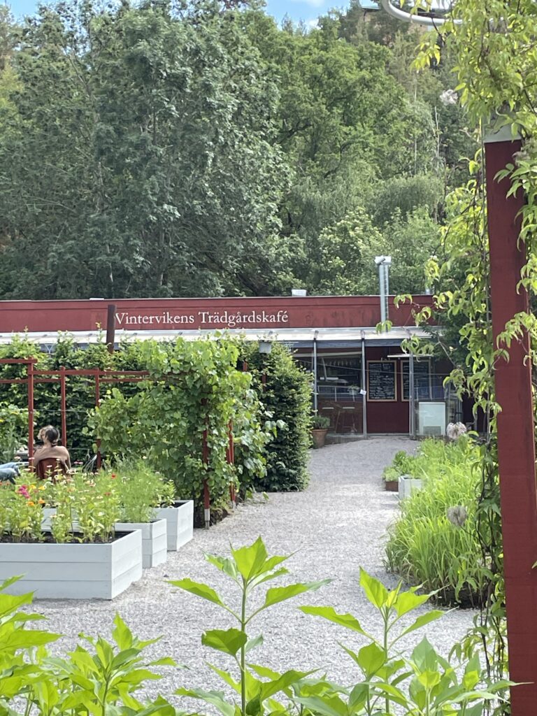 Vintervikens trädgårdskafé. Odlingar. Sommar. Byggnad, entré.